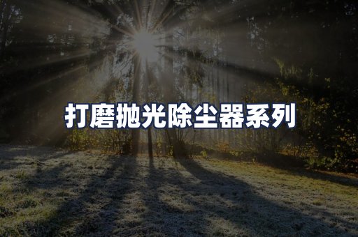 打磨抛光除尘器系列